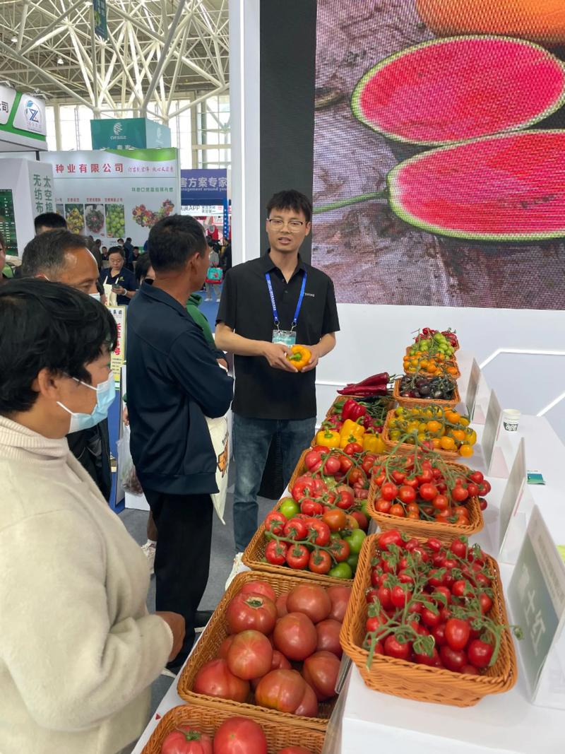 蔬菜种子大全:选择与收获