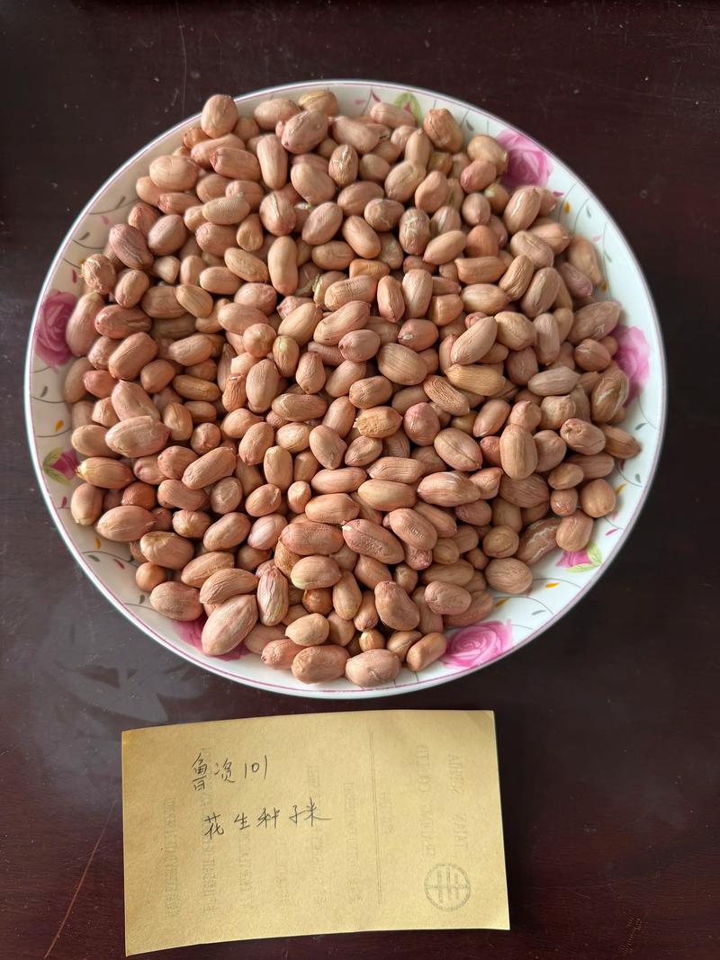 蔬菜种子选购指南：新手必备宝典